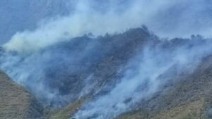 Fire broke out in the forest of Naithana