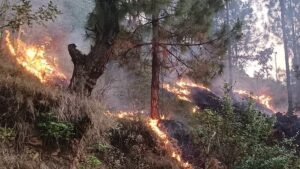Uttarakhand Fire