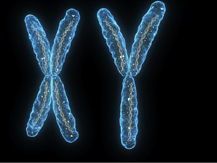 Y Chromosome News: Y गुणसूत्र गायब होने की कगार पर, पुरुष संतानों का अंत नजदीक, वैज्ञानिकों ने उठाए गंभीर सवाल Y Chromosome News: Y गुणसूत्र गायब होने की कगार पर, पुरुष संतानों का अंत नजदीक, वैज्ञानिकों ने उठाए गंभीर सवाल