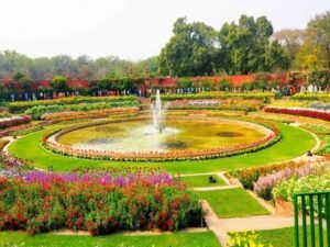Amrit Udyan: राष्ट्रपति भवन का प्रसिद्ध अमृत उद्यान जनता के खुला, जानें तारिख, समय और क्या है इस बाग में खास