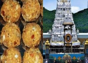 Andhra Pradesh News: Tirupati laddoos में मिला गोमांस की चर्बी और मछली का तेल, लैब टेस्ट में हुआ चौंकाने वाला खुलासा