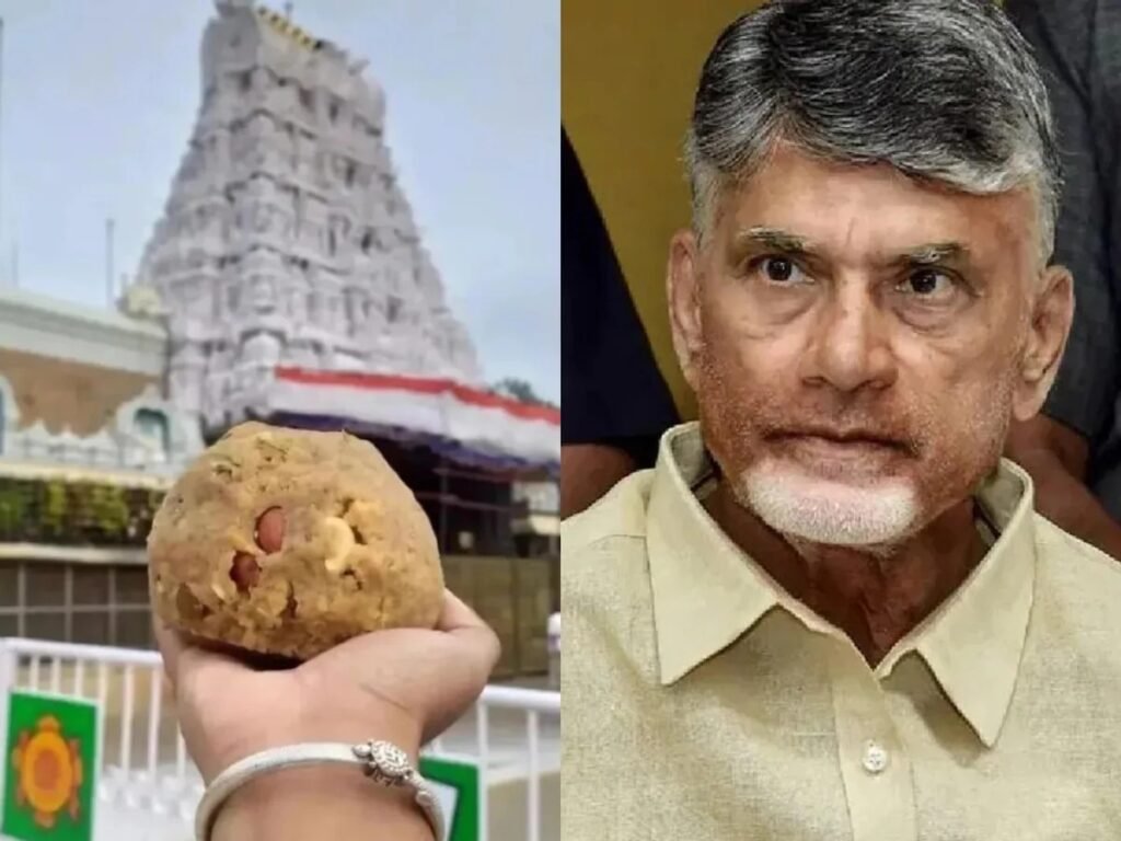 Tirupati Laddu Ghee Controversy: सुप्रीम कोर्ट ने तिरुपति लड्डू घी विवाद पर चंद्रबाबू नायडू सरकार को लगाई फटकार, कहा 'तिरुपति मुद्दे में देवताओं को न लाएं'