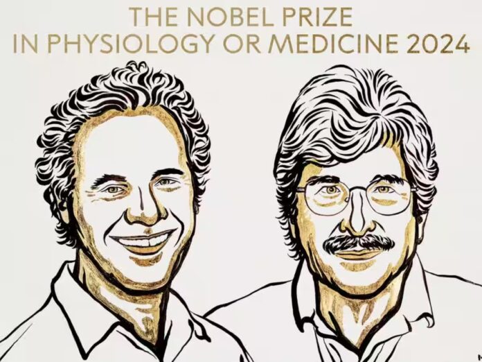 Nobel Prize in Medicine 2024: माइक्रोआरएनए की खोज के लिए अमेरिकी वैज्ञानिकों को दिया जाएगा 2024 का चिकित्सा नोबेल पुरस्कार Nobel Prize in Medicine 2024: माइक्रोआरएनए की खोज के लिए अमेरिकी वैज्ञानिकों को दिया जाएगा 2024 का चिकित्सा नोबेल पुरस्कार