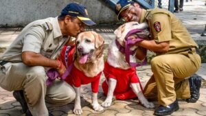बम निरोधक दस्ते के बहादुर कुत्ते Oscar और Mylo 10 साल की सेवा के बाद हुए रिटायर, Mukesh Ambani से है खास सम्बन्ध