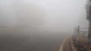 Delhi और NCR में छाया रहा घना कोहरा, उत्तर भारत में शीतलहर जारी, यातायात प्रभावित