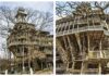दुनिया का सबसे बड़ा Tree House जलकर खाक, 15 मिनट में राख हुआ ‘Minister’s Treehouse’, क्यों खास है ये ट्रीहाउस दुनिया का सबसे बड़ा Tree House जलकर खाक, 15 मिनट में राख हुआ 'Minister’s Treehouse', क्यों खास है ये ट्रीहाउस