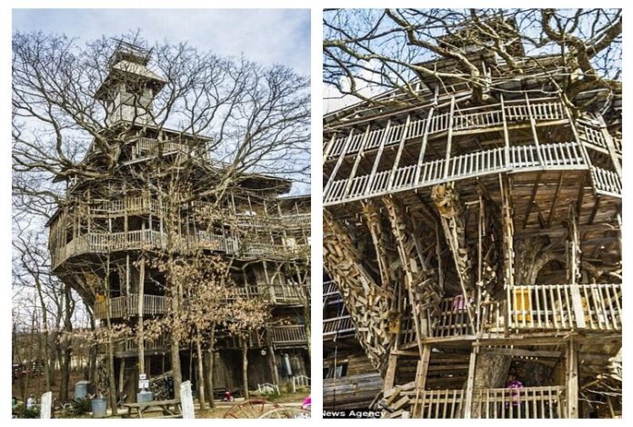 दुनिया का सबसे बड़ा Tree House जलकर खाक, 15 मिनट में राख हुआ 'Minister’s Treehouse', क्यों खास है ये ट्रीहाउस दुनिया का सबसे बड़ा Tree House जलकर खाक, 15 मिनट में राख हुआ 'Minister’s Treehouse', क्यों खास है ये ट्रीहाउस