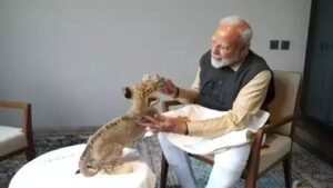 PM Modi Vantara Visit: PM Modi ने गुजरात में वनतारा का किया दौरा, शेर के शावकों को पिलाया दूध