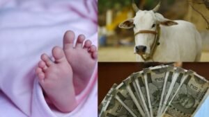आंध्र प्रदेश में तीसरे बच्चे के जन्म पर 50,000 रुपये का इनाम, बेटे पर मिलेगी गाय!