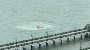 New Jersey के पास समंदर में समाई खुशी, हडसन नदी में Helicopter Crash, 6 की मौत