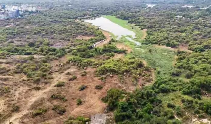 हैदराबाद में सरकार ने काटा 400 एकड़ जंगल, छात्रों के विरोध से नहीं पड़ रहा असर