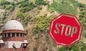सुप्रीम कोर्ट ने हैदराबाद के जंगल में कटाई पर लगाई रोक, सरकार को लगाई फटकार