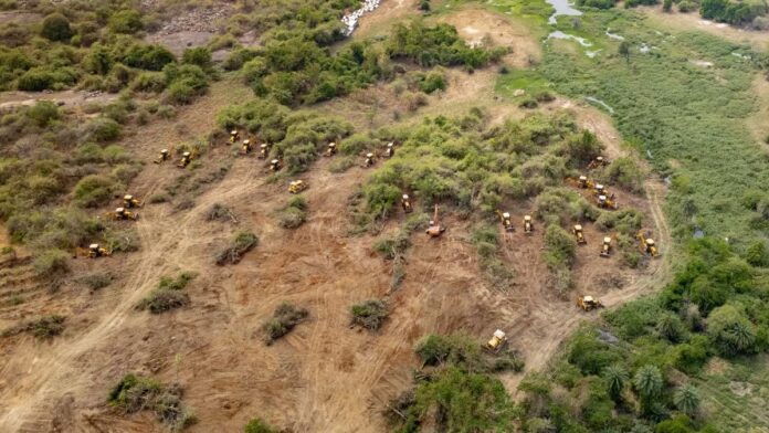 हैदराबाद के जंगल उजाड़ने पर सुप्रीम कोर्ट ने तेलंगाना सरकार को लगाई फटकार, कहा सब जेल जाएंगे