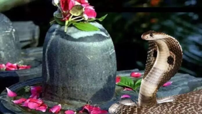 Nag Panchami 2025: शिवलिंग पर चढ़ाएं ये 6 चीजें, मिलेगी कालसर्प दोष से मुक्ति और शिव का आशीर्वाद