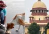 सुप्रीम कोर्ट दिल्ली के आवारा कुत्तों पर क्या देगा फैसला? 3 जजों की बेंच ने फैसला सुरक्षित रखा सुप्रीम कोर्ट दिल्ली के आवारा कुत्तों पर क्या देगा फैसला? 3 जजों की बेंच ने फैसला सुरक्षित रखा
