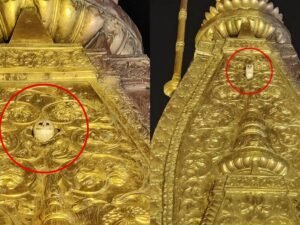 श्री काशी विश्वनाथ मंदिर में आधी रात को दिखा दुर्लभ सफेद उल्लू, भक्तों में बढ़ी आस्था