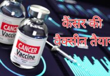 रूस ने विकसित की 100% प्रभावी कैंसर वैक्सीन ‘एंटरोमिक्स’, पहले मानव परीक्षणों में चौंकाने वाले नतीजे रूस ने विकसित की 100% प्रभावी कैंसर वैक्सीन 'एंटरोमिक्स', पहले मानव परीक्षणों में चौंकाने वाले नतीजे