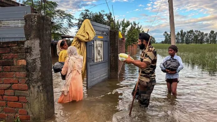 Punjab Flood Updates: पंजाब में मानसून बना कहर, बाढ़ से 43 की मौत और 1.71 लाख हेक्टेयर फसल तबाह