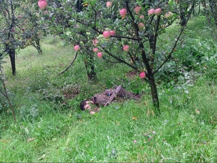 Kulgam Encounter News: एक आतंकी ढेर, सेना का जवान घायल; जम्मू बॉर्डर पर पाकिस्तानी घुसपैठिया गिरफ्तार Kulgam Encounter News: एक आतंकी ढेर, सेना का जवान घायल; जम्मू बॉर्डर पर पाकिस्तानी घुसपैठिया गिरफ्तार