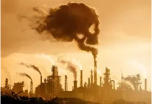 भारत का Carbon Market: इससे आम लोगों और उद्योगों पर क्या असर पड़ेगा?